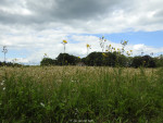 Landgoed Het Hakenberg
